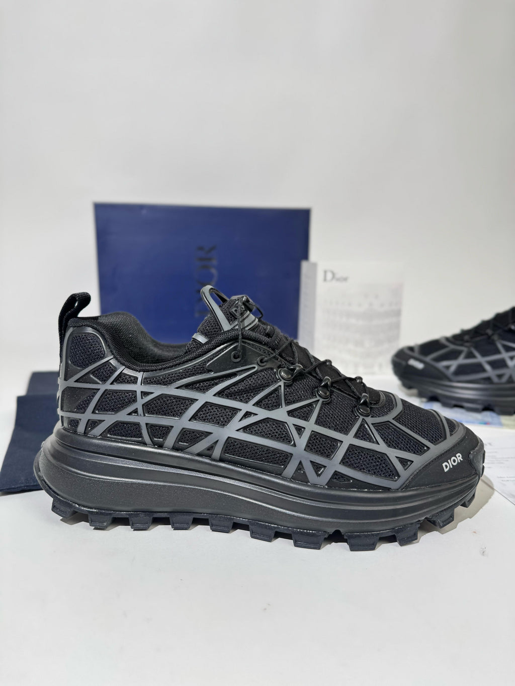 DIOR B31
